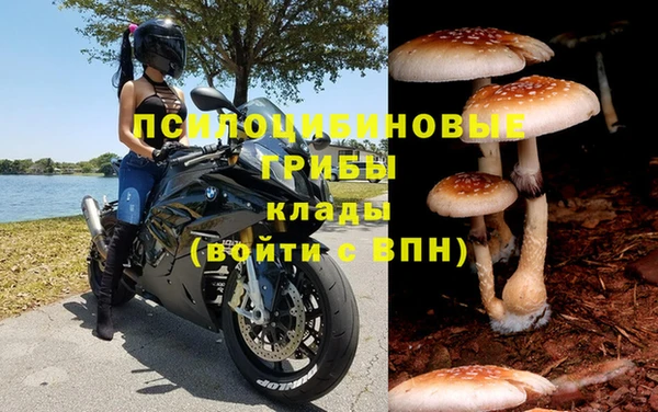 тгк Наволоки