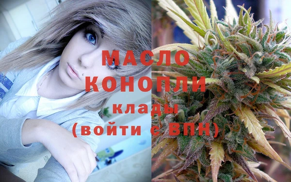 дмт Надым