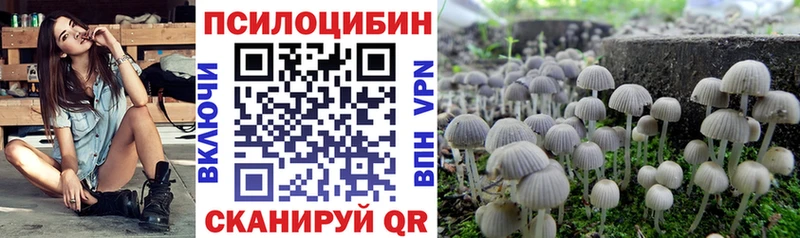 купить   Гагарин  Галлюциногенные грибы MAGIC MUSHROOMS 