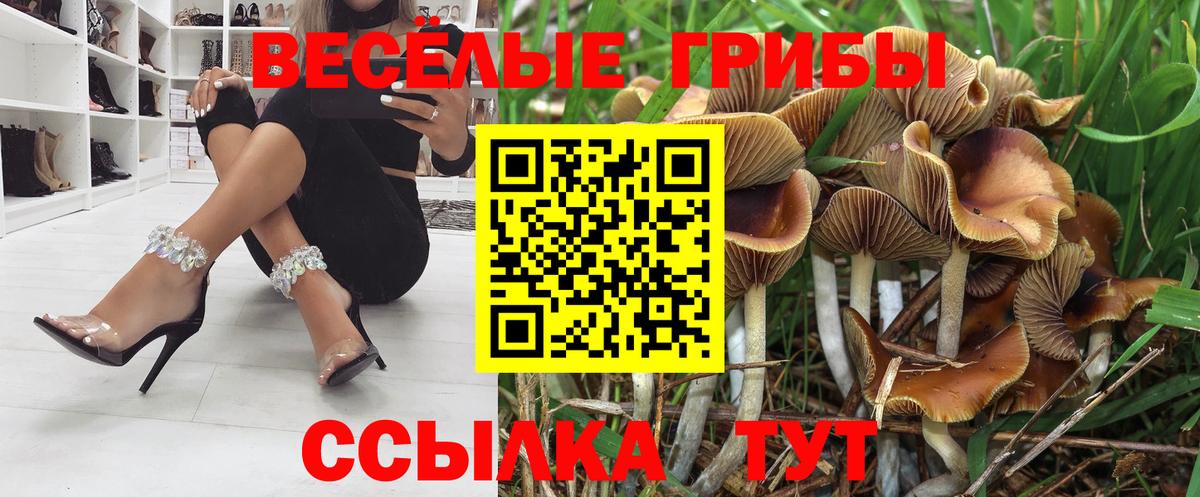 Галлюциногенные грибы мицелий Гагарин