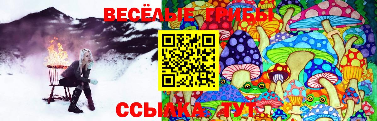 Псилоцибиновые грибы GOLDEN TEACHER  Гагарин  Псилоцибиновые грибы прущие грибы 