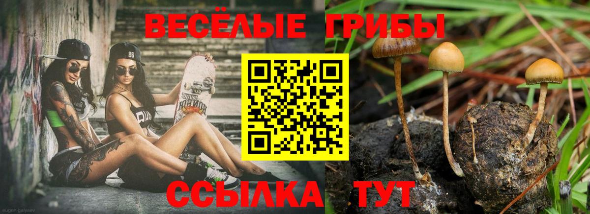 Галлюциногенные грибы Magic Shrooms Гагарин